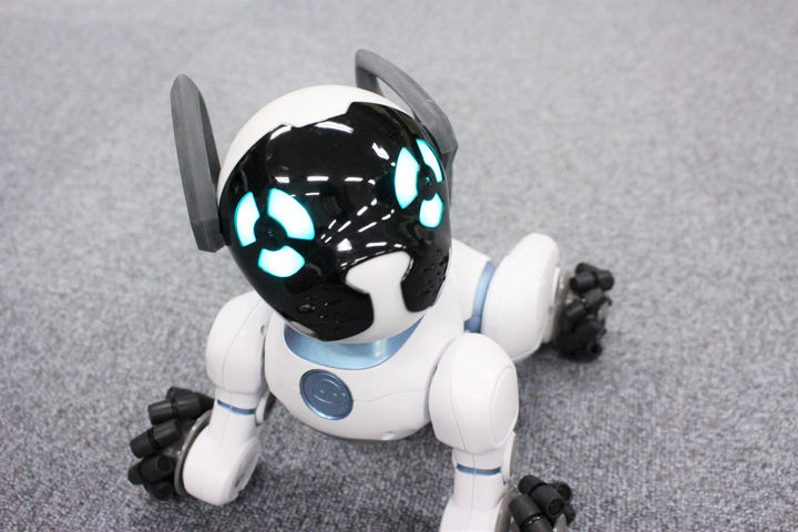 ペットが飼えない人に 癒やしを与えてれるロボット犬 Chip