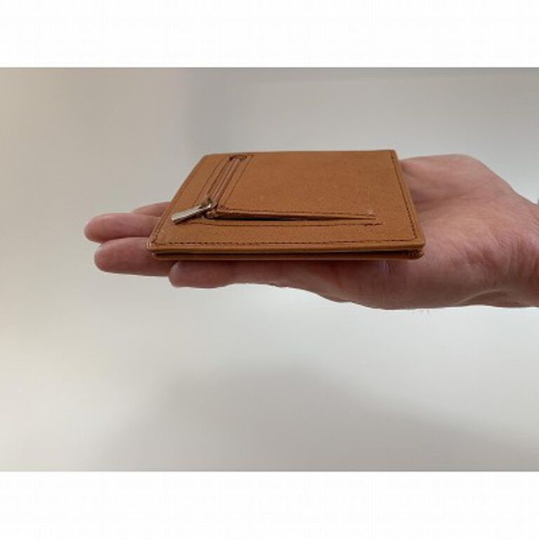 カードがたくさん入るのに薄い手の平財布 小銭入れ付き BS06 ブラック 