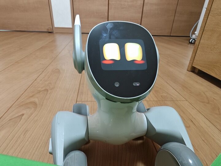 会話ができるChatGPT連携可能なロボットペット「Loona(ルーナ)」に未来