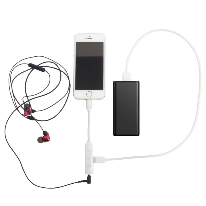 充電しながら音楽再生 Lightning変換アダプタ 3.5mmイヤホンジャック+充電ポートの人気通販 | AppBank Store
